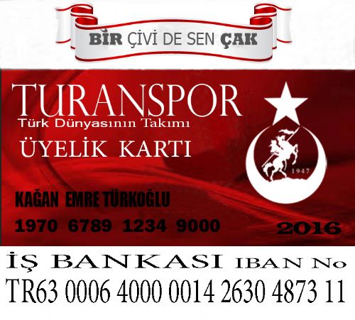 Habere Git